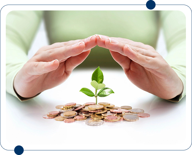 A person holding their hands over a plant on top of coins.